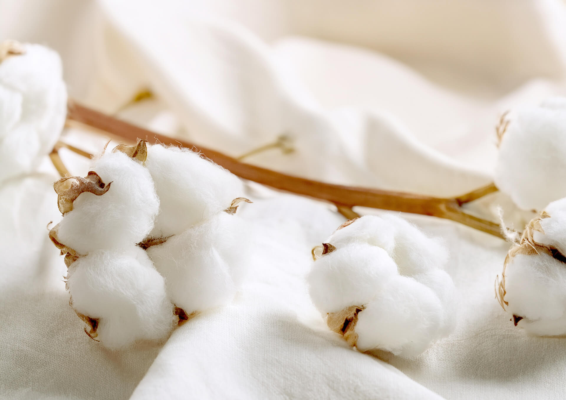 鯉口シャツの素材選び｜敏感肌の方に優しい生地の特徴と選び方